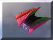 Flowform1.jpg (60895 bytes)