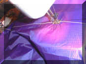 1.6ribandline1.jpg (118330 bytes)