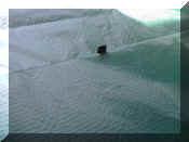 Gamma_bridle_point7.jpg (116405 bytes)