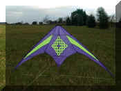 Pizazz_1.jpg (71849 bytes)