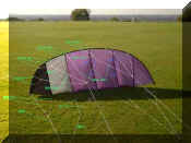 Trident_bridle.jpg (45470 bytes)