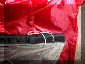 Tridentspar1.jpg (60875 bytes)