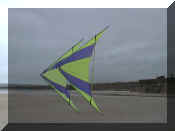 speedwings.jpg (64941 bytes)