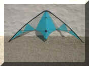 timkite1.jpg (133866 bytes)